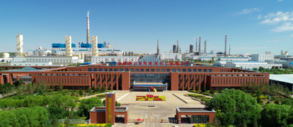 煤基新材料及相关化学品开发利用